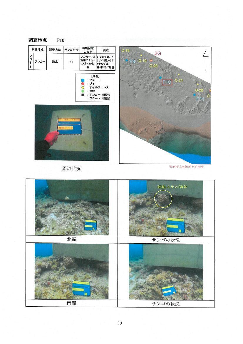 調査地点Ｆ１０.jpg