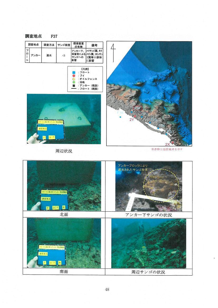 調査地点Ｆ３７.jpg