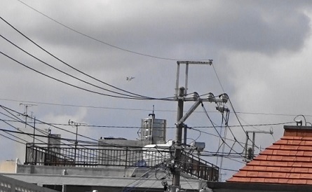 HM 戦闘機。危険極まりない!米軍は沖縄から出て行け!(1).jpg