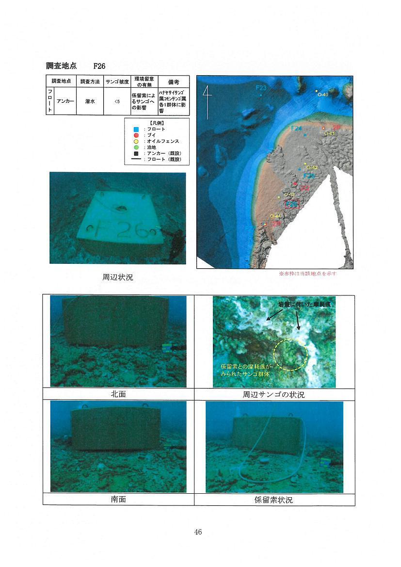 調査地点Ｆ２６.jpg