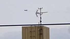 SNS用 20200424.jpg