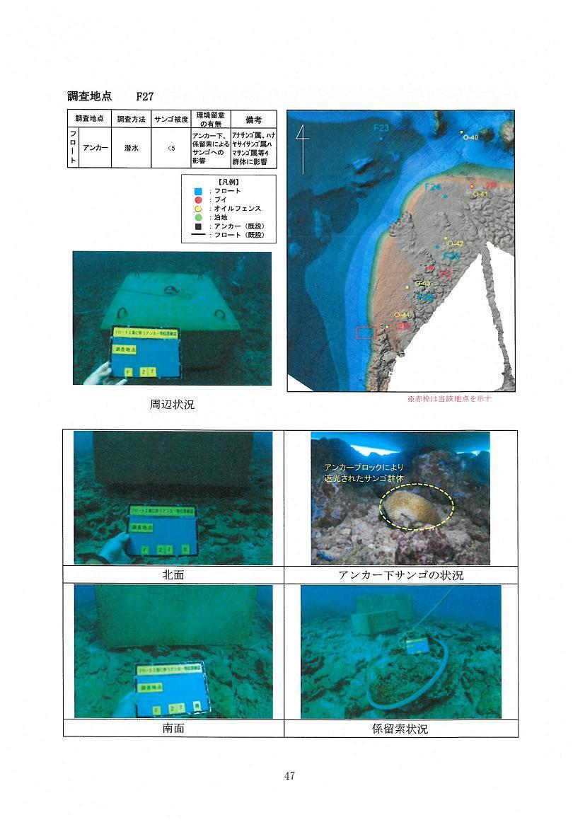 調査地点Ｆ２７.jpg